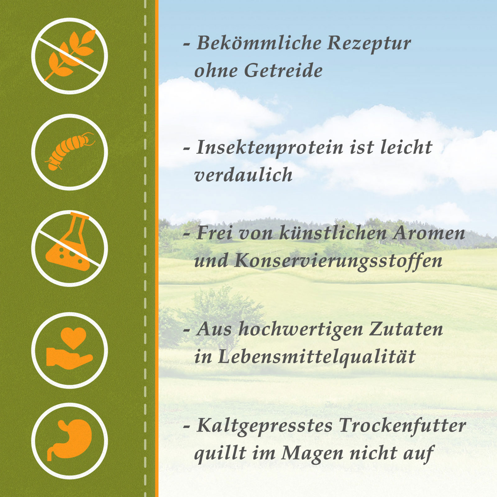 hundebett groe hunde xxl Orthopdisches Hundebett XXL Online Kaufen  Kaiser Hund