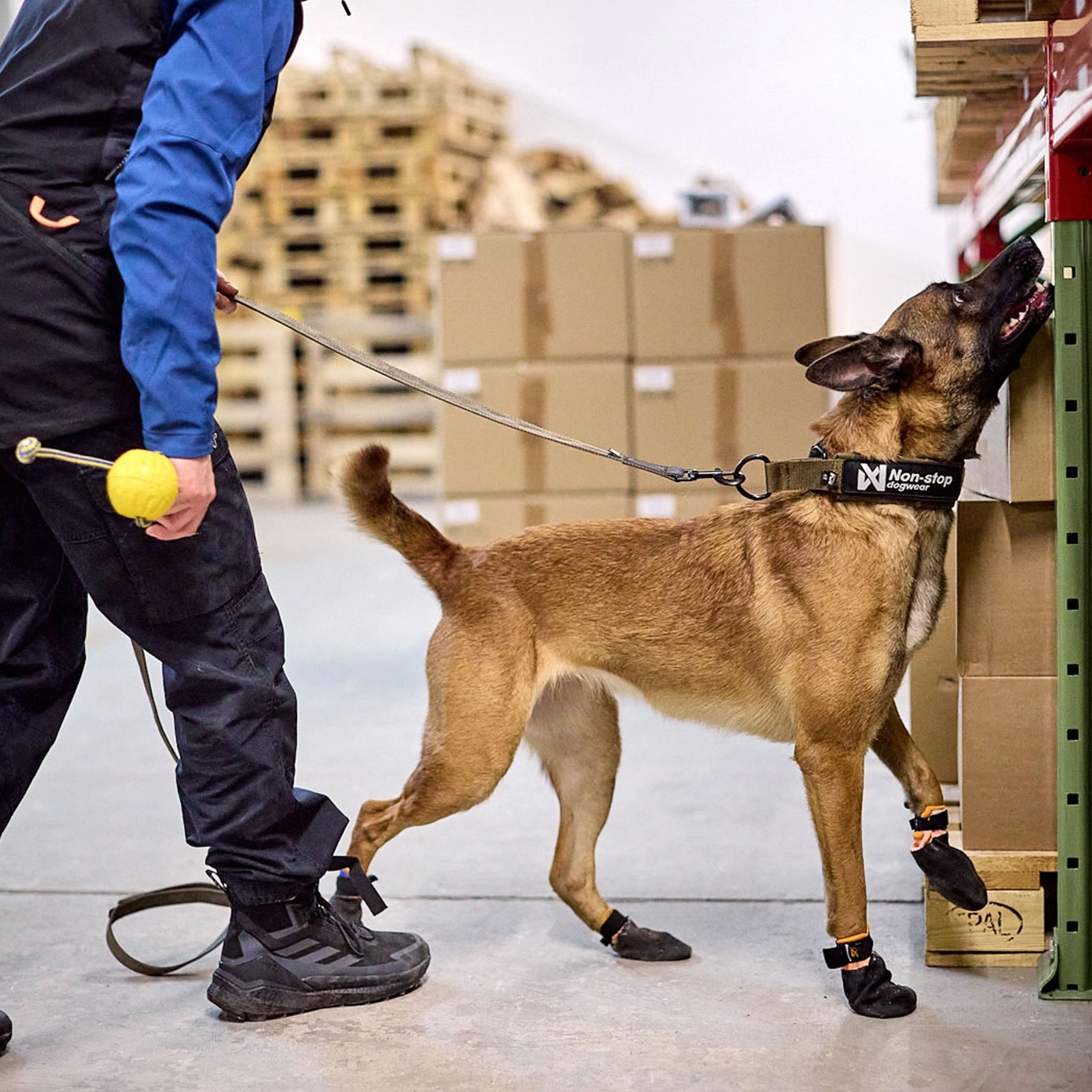 Non-stop dogwear Solid collar WD olive | Lauflust.de