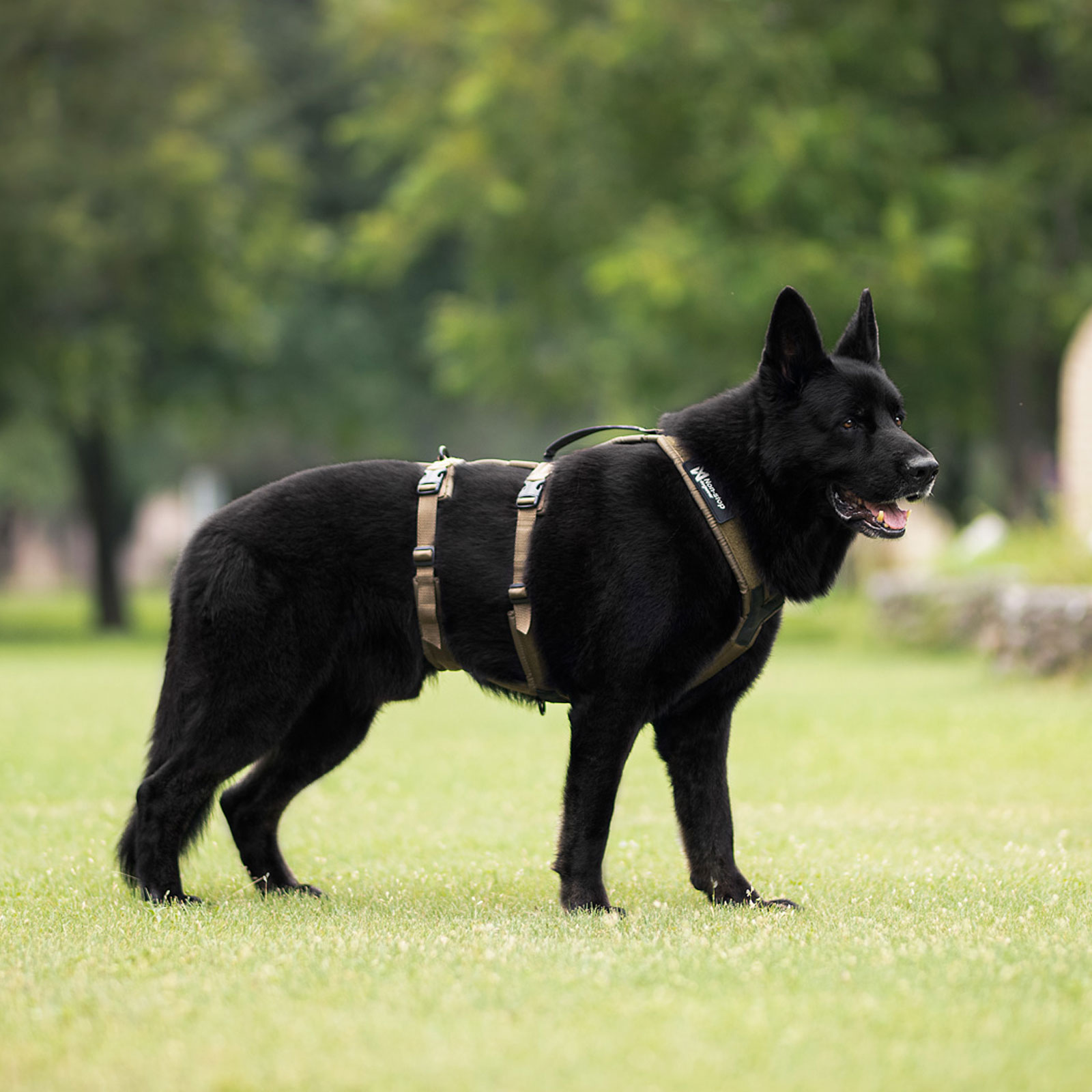 Non-stop dogwear Line Harness Long Grip WD | Lauflust.de